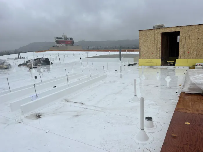 Morales Roofing Picture 8