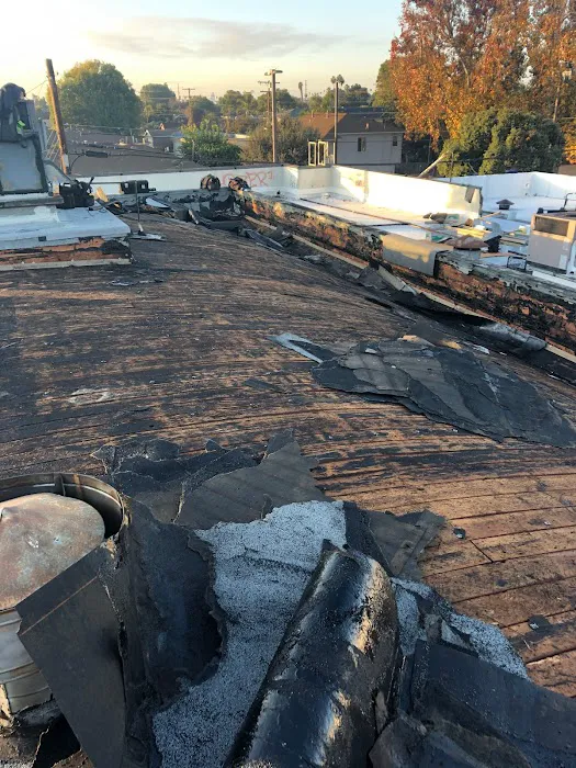 Freedom Roofing Company Picture 5