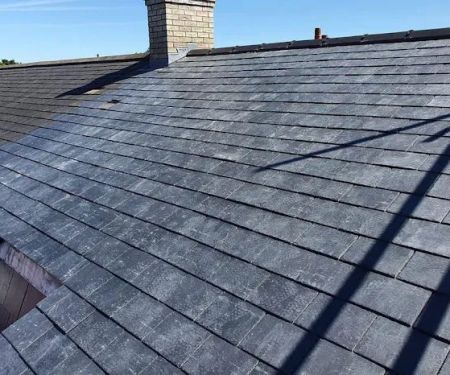 Eave Guard Roofing Experts