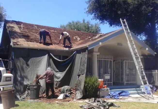 Dominic's Roofing Picture 7