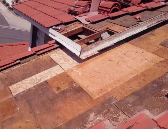 Dominic's Roofing Picture 5