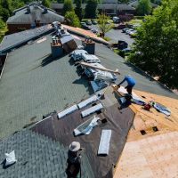 BNF Roofing ico