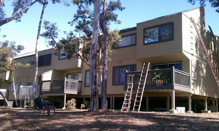 JJ Painting Picture 10