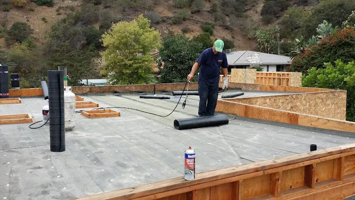 The Roofing Lady Picture 5