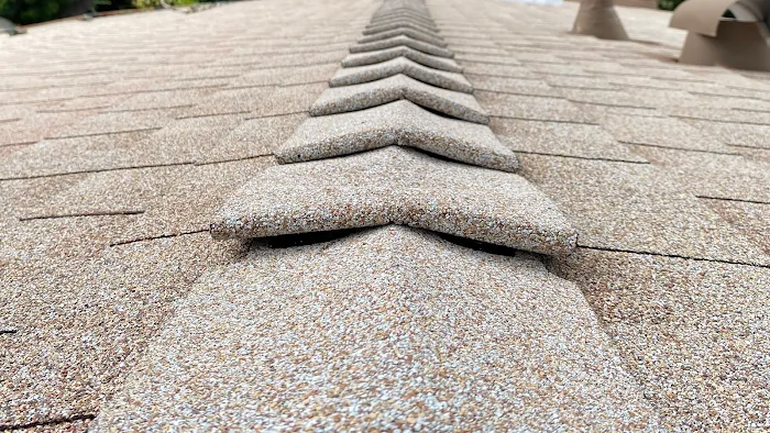 The Roofing Lady Picture 8