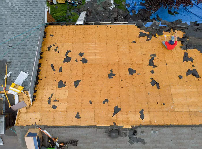 Lion Roofing Picture 1