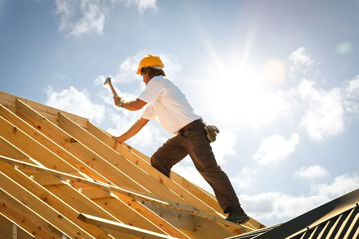Lion Roofing Picture 6