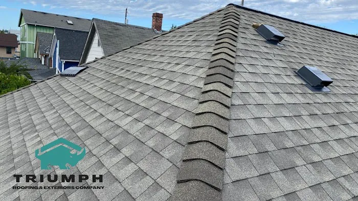 Triumph Roofing & Exterior Picture 2