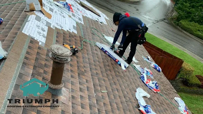 Triumph Roofing & Exterior Picture 4