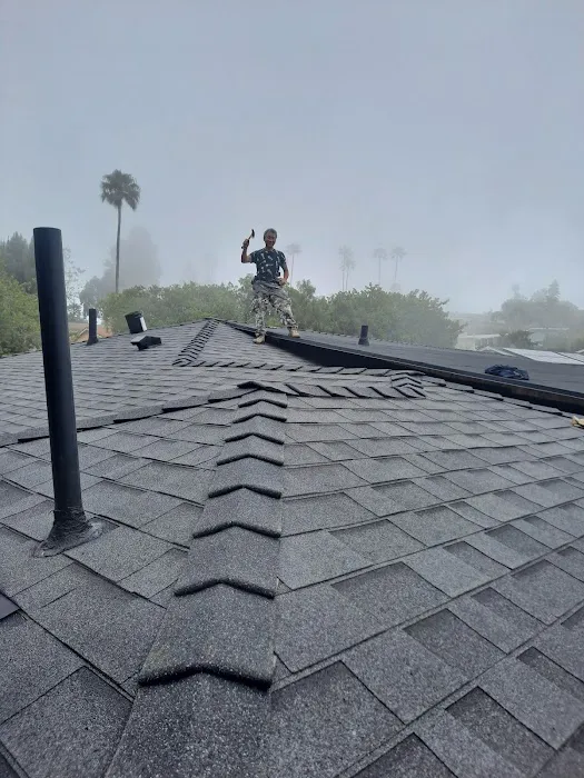 Superman LA Roofing | 슈퍼맨 엘에이 루핑 Picture 6