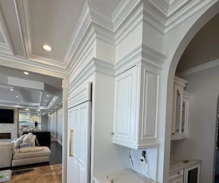 Precision Painting Plus of San Diego