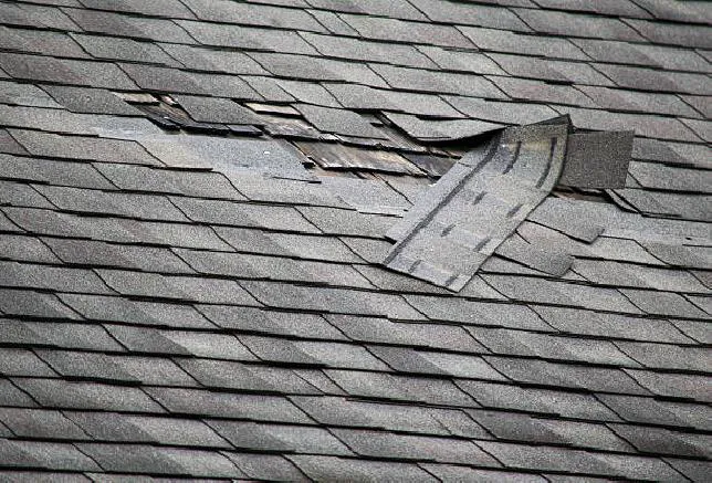 LA Conty Rof Repair Picture 1