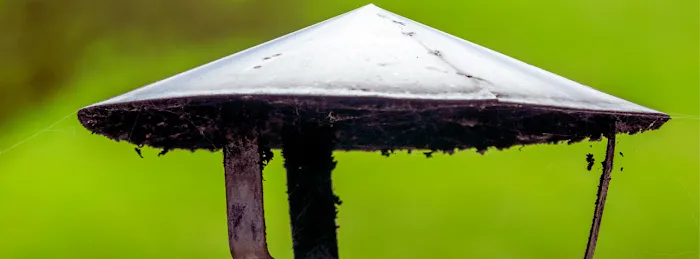 Solid Reach Roof & Gutter Picture 3