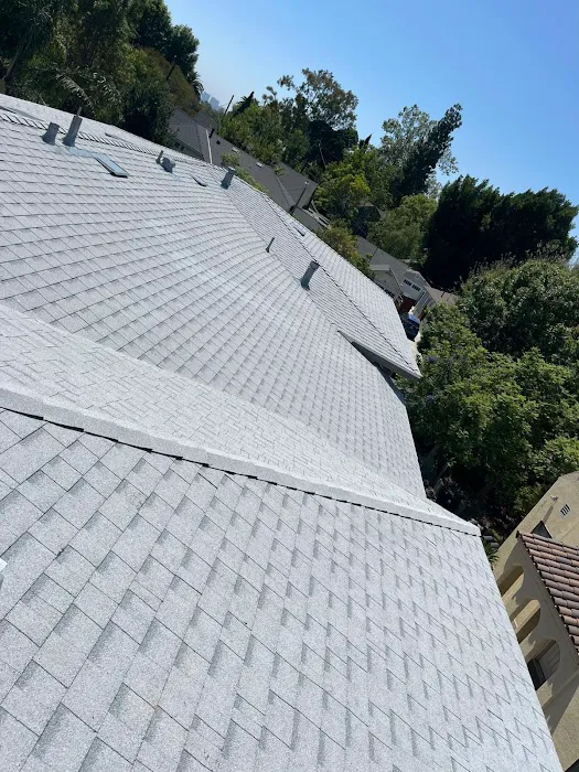 Rafael And Iris Roofing Picture 1