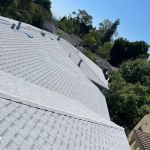 Rafael And Iris Roofing