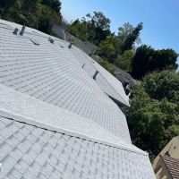 Rafael And Iris Roofing ico