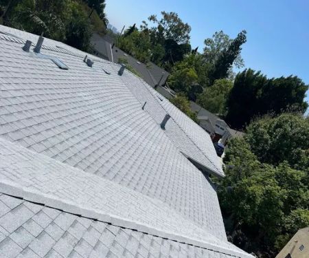 Rafael And Iris Roofing