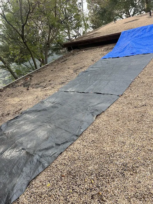 A Cut Above Picture 6