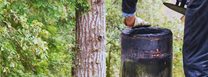Quick Fix Roof & Gutter Picture 3
