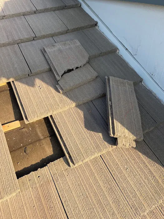 Roof Rx Picture 3