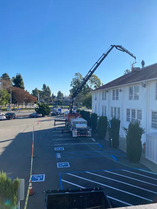 TG Roofing and Roof Removal Picture 6
