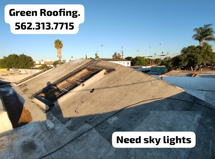 GREEN ROOFING Picture 2