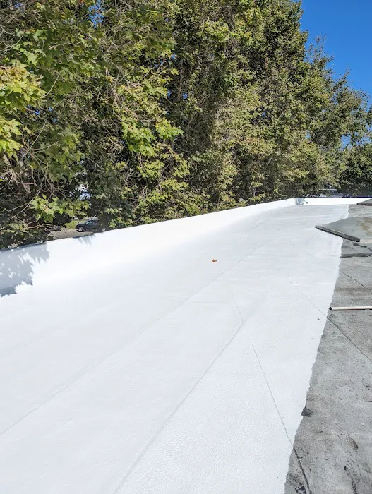 GREEN ROOFING Picture 3