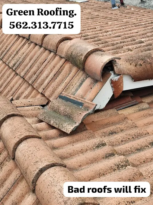 GREEN ROOFING Picture 5