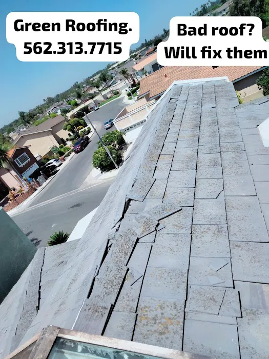 GREEN ROOFING Picture 7