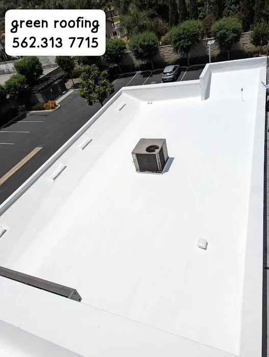GREEN ROOFING Picture 8