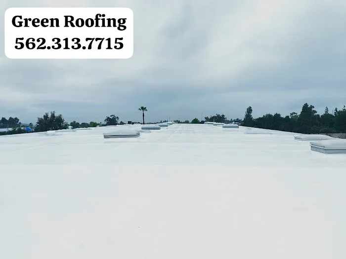 GREEN ROOFING Picture 9