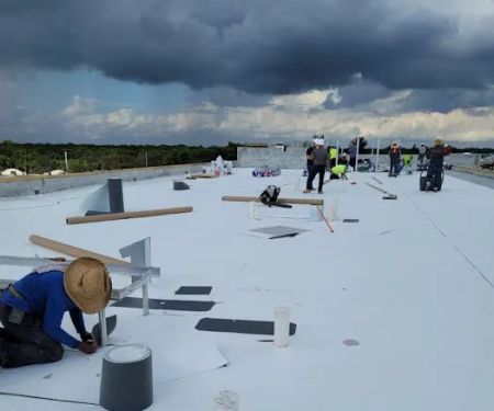 Ivyleague Roof Repair