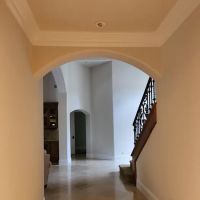 The Right Painter ico