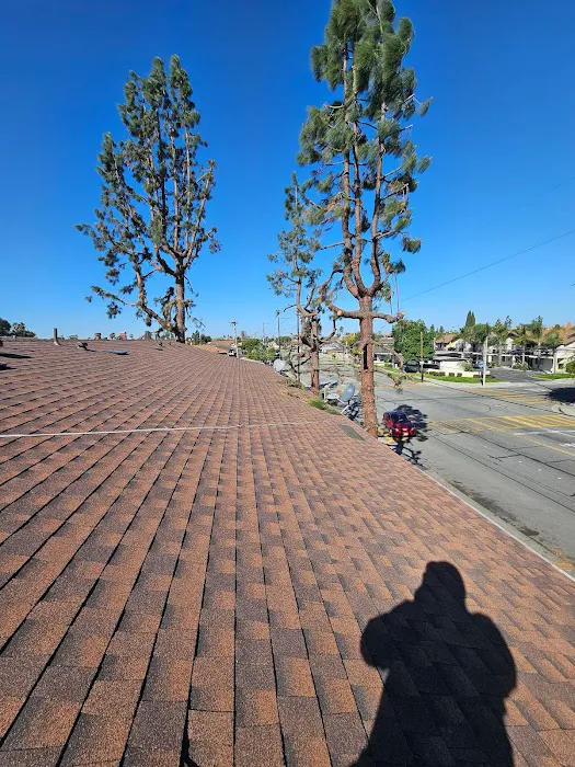 I Be Roofing ,Inc Picture 5