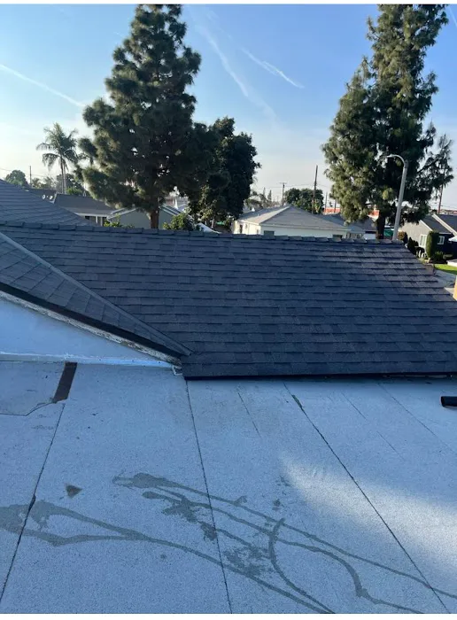 Shingle Guard Roofs. Picture 7