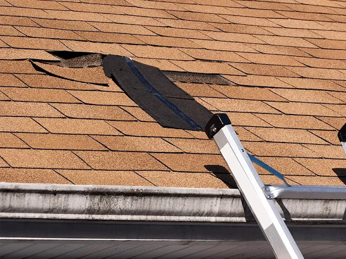 Sun Diego Roofing Picture 4