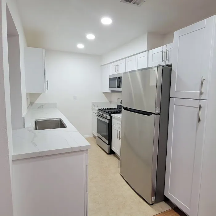 Melendez Remodeling Picture 1