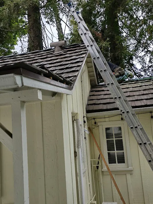 Sunny Roofing Picture 8