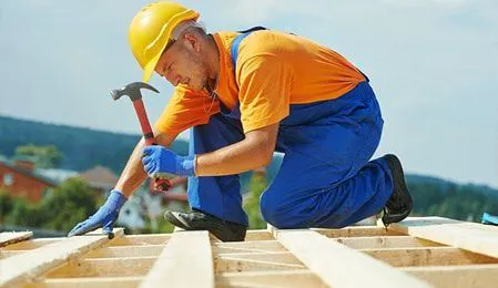 LYJ Roofing Picture 1