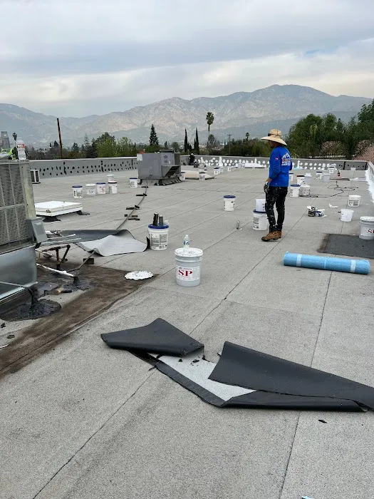 Elite Roofing And Solar Solutions Picture 4