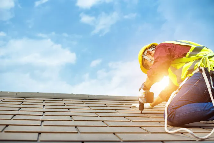 Pure Roofing Picture 8