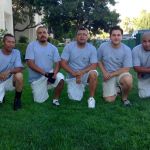 Premium Pro Painting