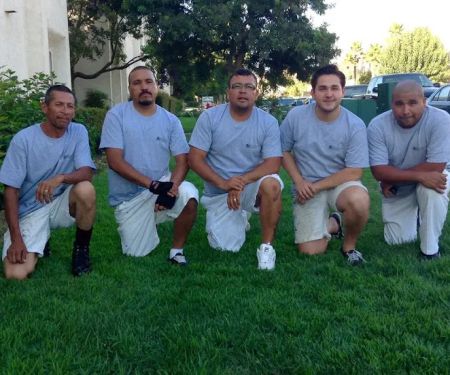 Premium Pro Painting