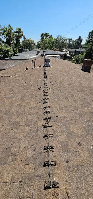 Reflex Roofing Picture 4