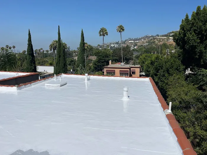 Specialist Roofing & Repair Picture 1