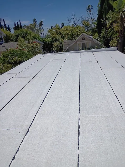 Specialist Roofing & Repair Picture 5