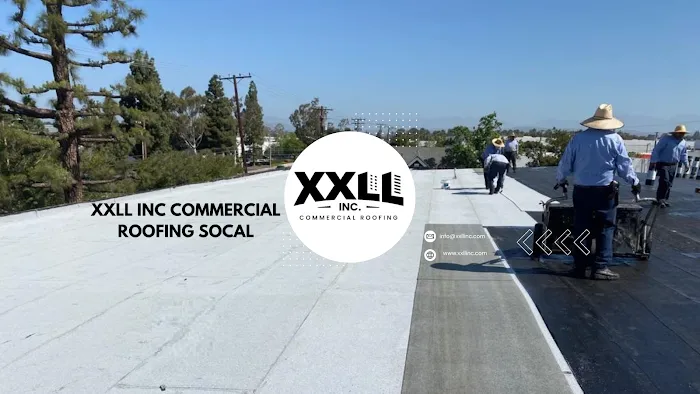 XXLL, Inc. Picture 2