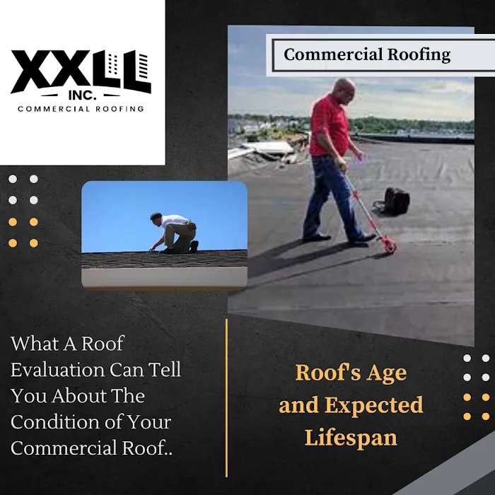 XXLL, Inc. Picture 10