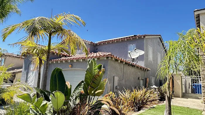 Set Pro Painting Picture 3