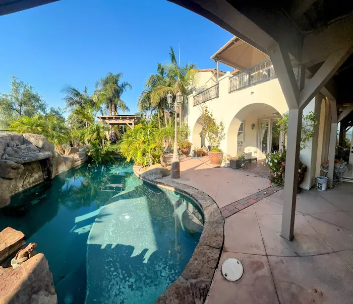 Set Pro Painting Picture 5